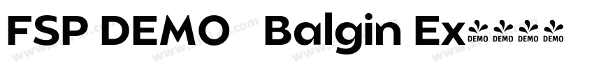 FSP DEMO   Balgin Ex字体转换